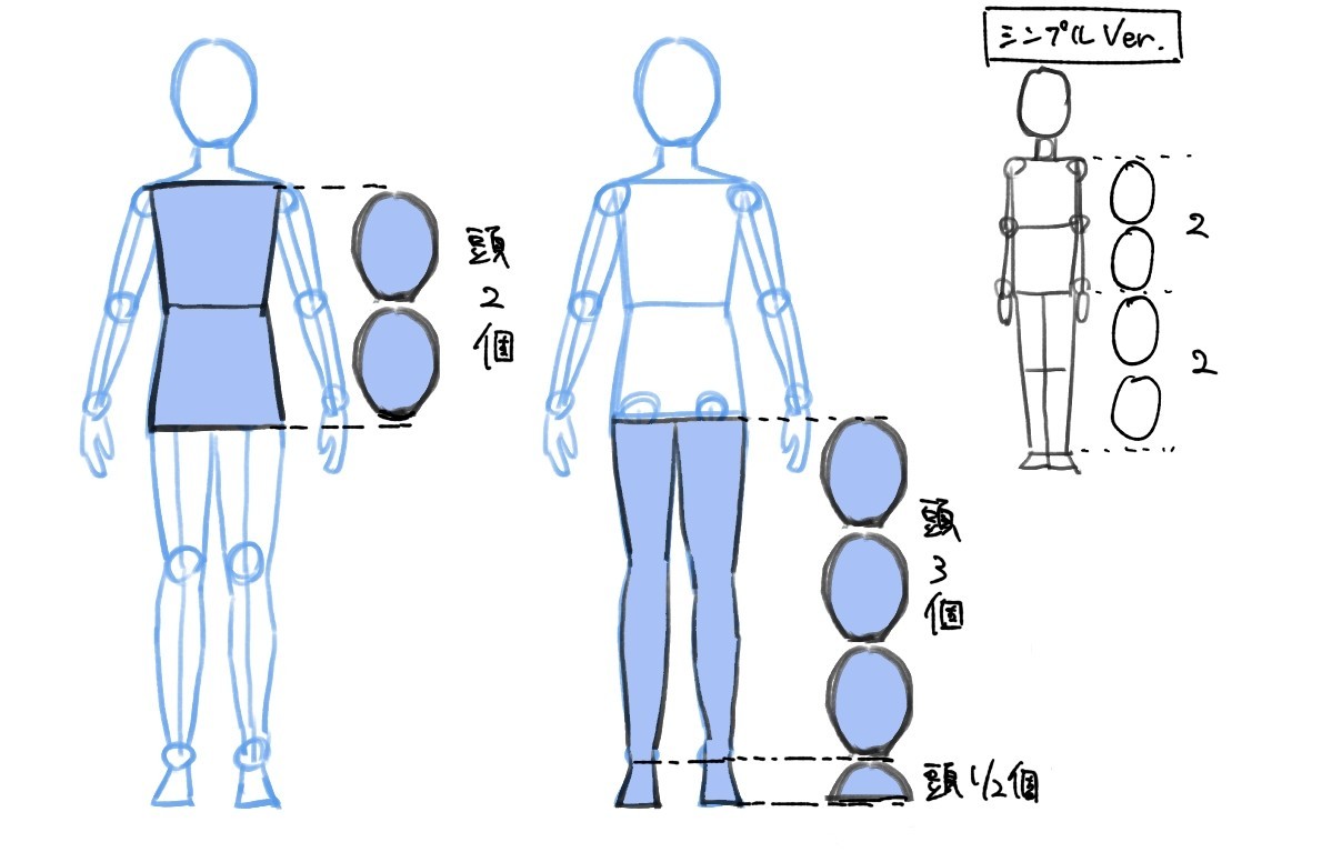 人体の作画 パーツの比率の目安 Jo Note