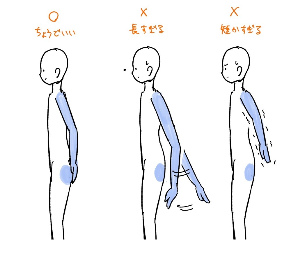 人体比率 Body Proportions Japaneseclass Jp