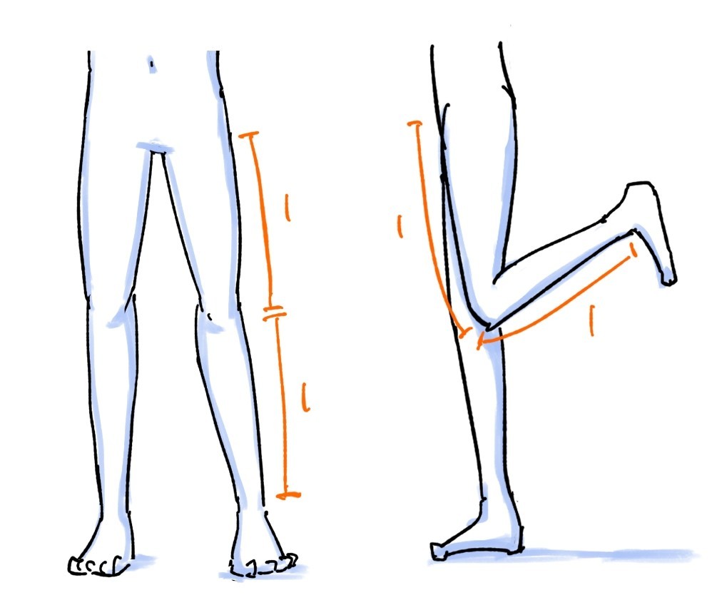 人体の作画 パーツの比率の目安 Jo Note