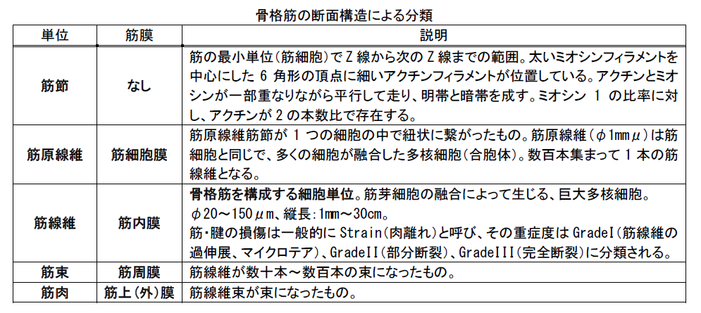 キャプチャ