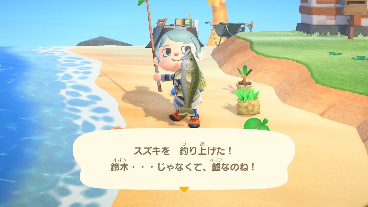 あつ 森魚 値段 ランキング あつ森 好きなどうぶつ 住民 人気ランキング投票結果