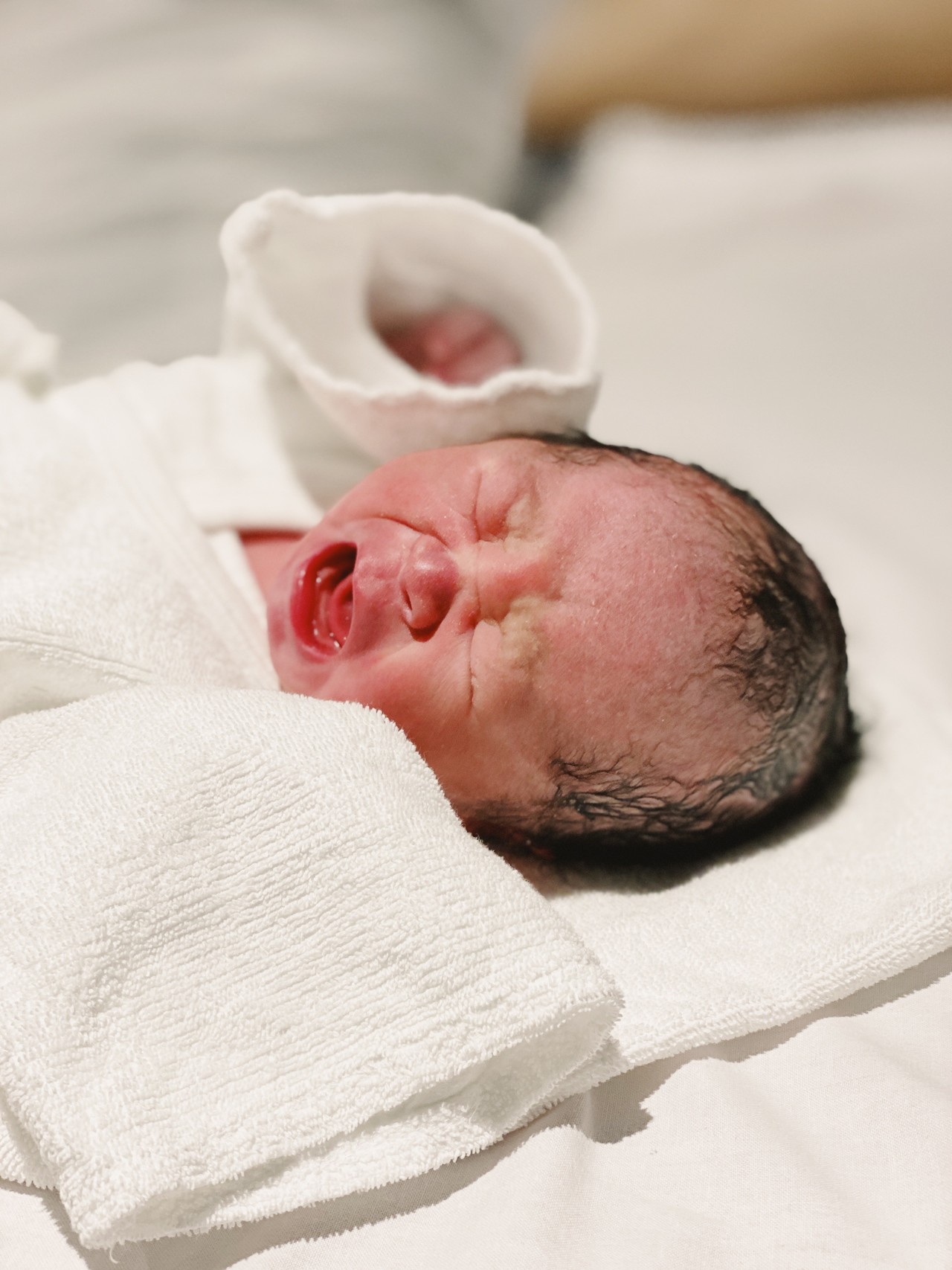 無料ダウンロード 19 週 で 生まれ た 赤ちゃん カトロロ壁紙