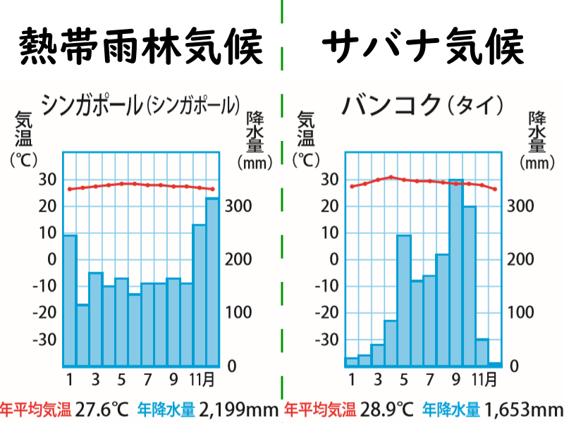 地理 世界の気候帯を雨温図といっしょに復習しよう ポチャstudy Note