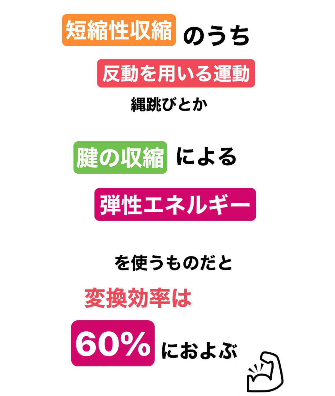 画像11
