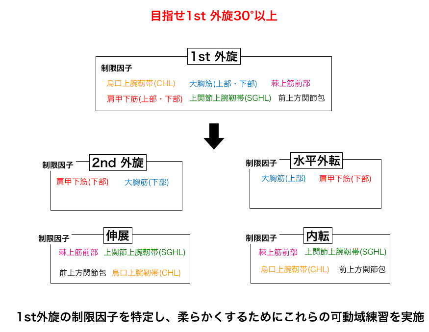 1st 外旋を良くするには 肩の語り