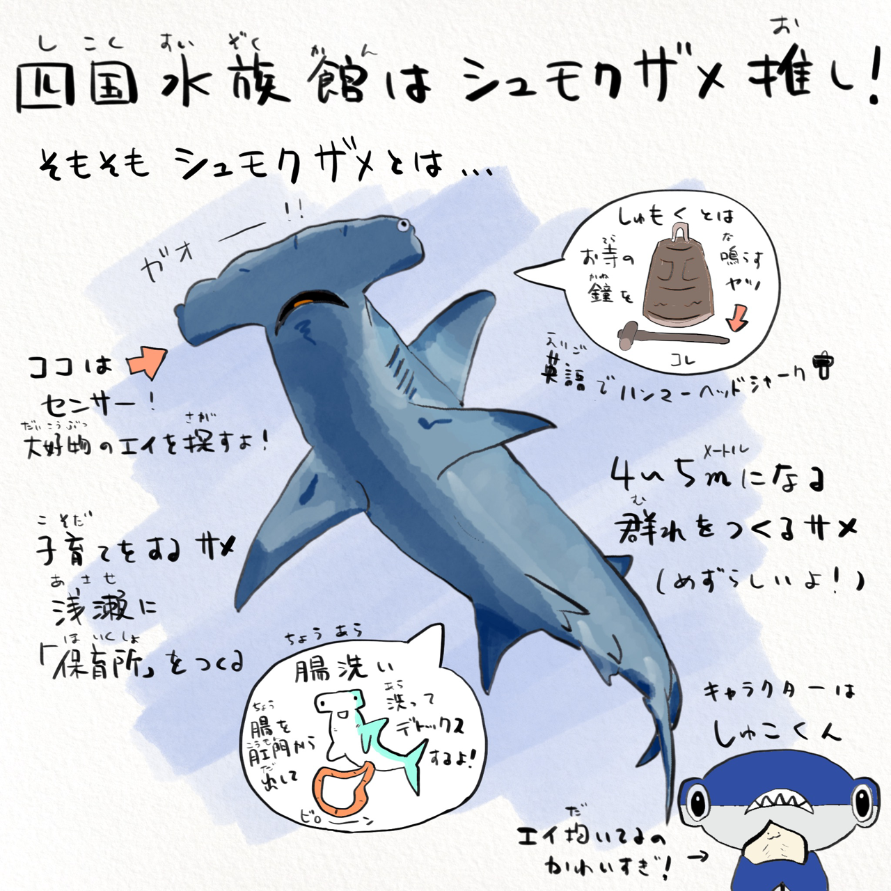 四国水族館は第3の視点から楽しめる水族館の革命だ かわちゃん さかなのおにいさん Note