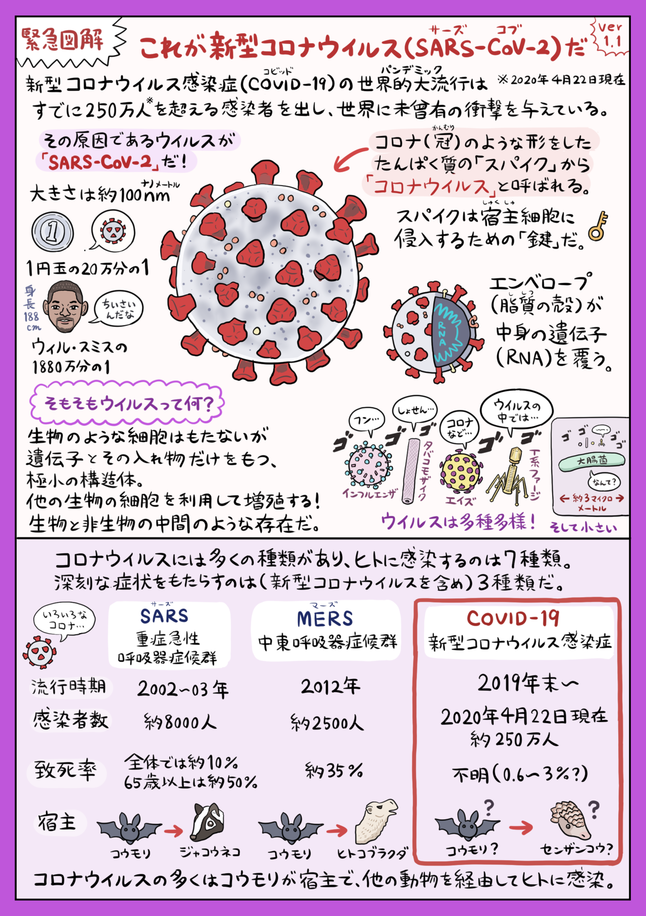 イラスト図解 これが新型コロナウイルスだ 4 28 Ver 1 1 更新