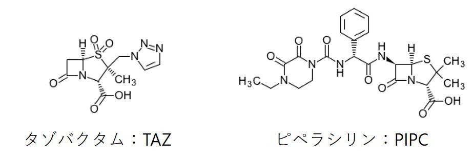 タゾバクタム Tazobactam JapaneseClass.jp