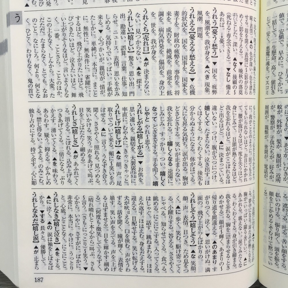 自分の言葉 を磨くオススメの辞典３選 Mai Note