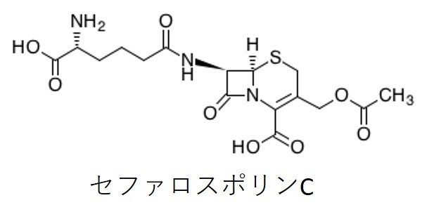 セフェム系抗菌薬について Azure Note