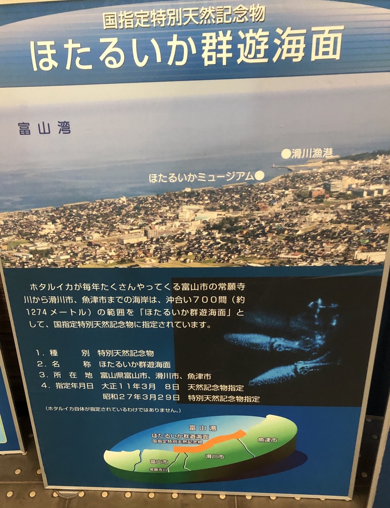 園館等訪問ルポ きときとかがやく 光は観えるか ほたるいかミュージアム 滑川漁港 富山県滑川市 おらんうーたんになりたい Note