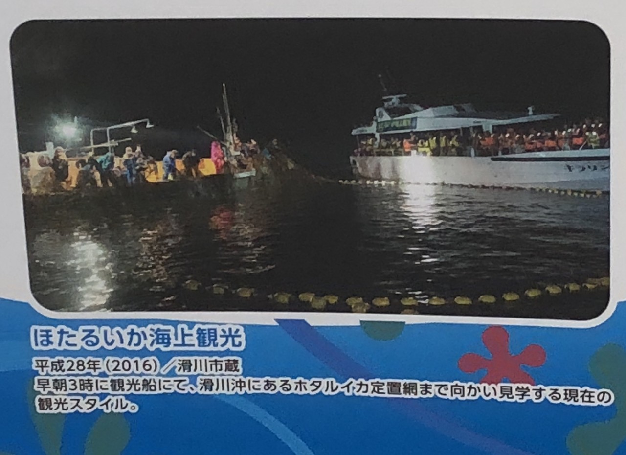 園館等訪問ルポ きときとかがやく 光は観えるか ほたるいかミュージアム 滑川漁港 富山県滑川市 おらんうーたんになりたい Note