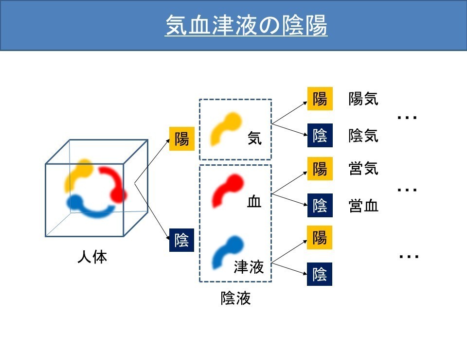 気血津液って四字熟語 ほしぞら薬局 Note