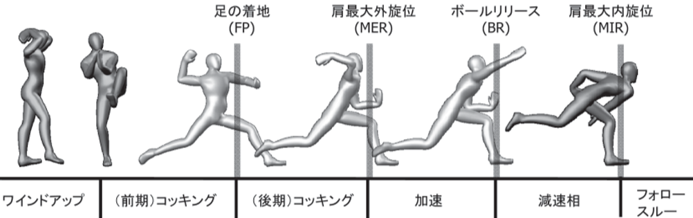 投球時の体幹 Fast Ball Laboratory 球速をアップデート Note