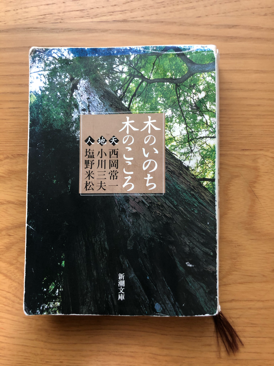 やる気が出る本 おすすめ モチベーションが上がる本を集めました ふねっち Note