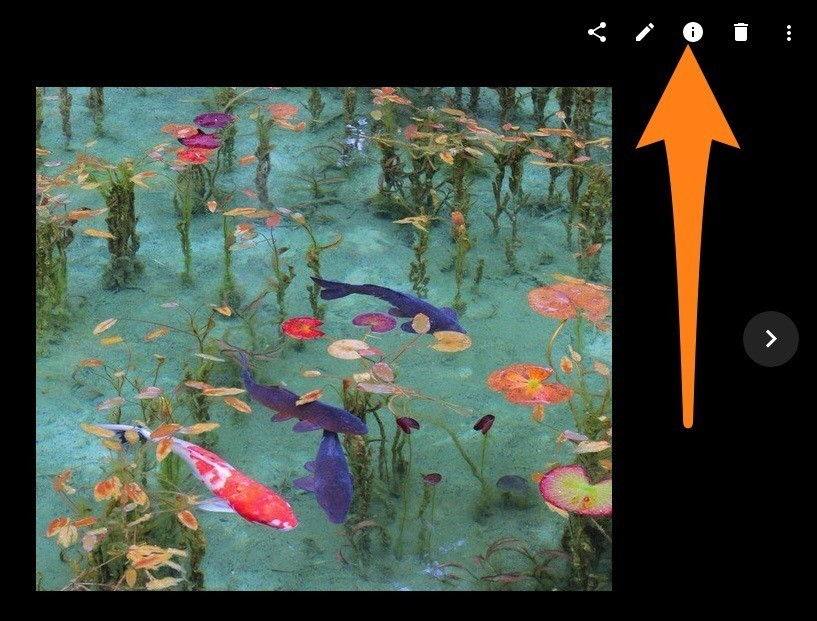 Googleフォトのアルバム 並び替えしたいな シニアな日々 Googleフォトのアルバム 並び替えしたいな シニアな日々
