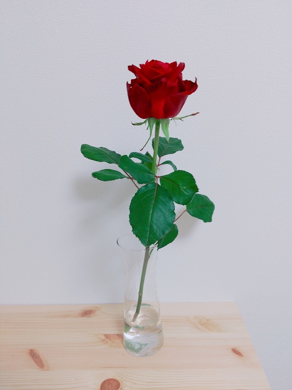 無料ダウンロード 一輪 薔薇 花瓶 誕生 日 ライン 友達