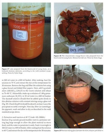 染色とレーキ顔料のための天然着色剤 Nnatural Colorants For Dyeing And Lake Pigment Jo Kirby Daddylongbody Note