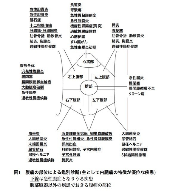 内臓と関連痛について 岡 賢佑 Note