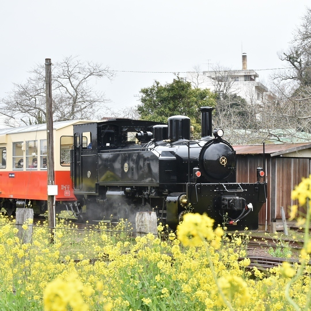 小湊鉄道のトロッコ車両 Nao Note