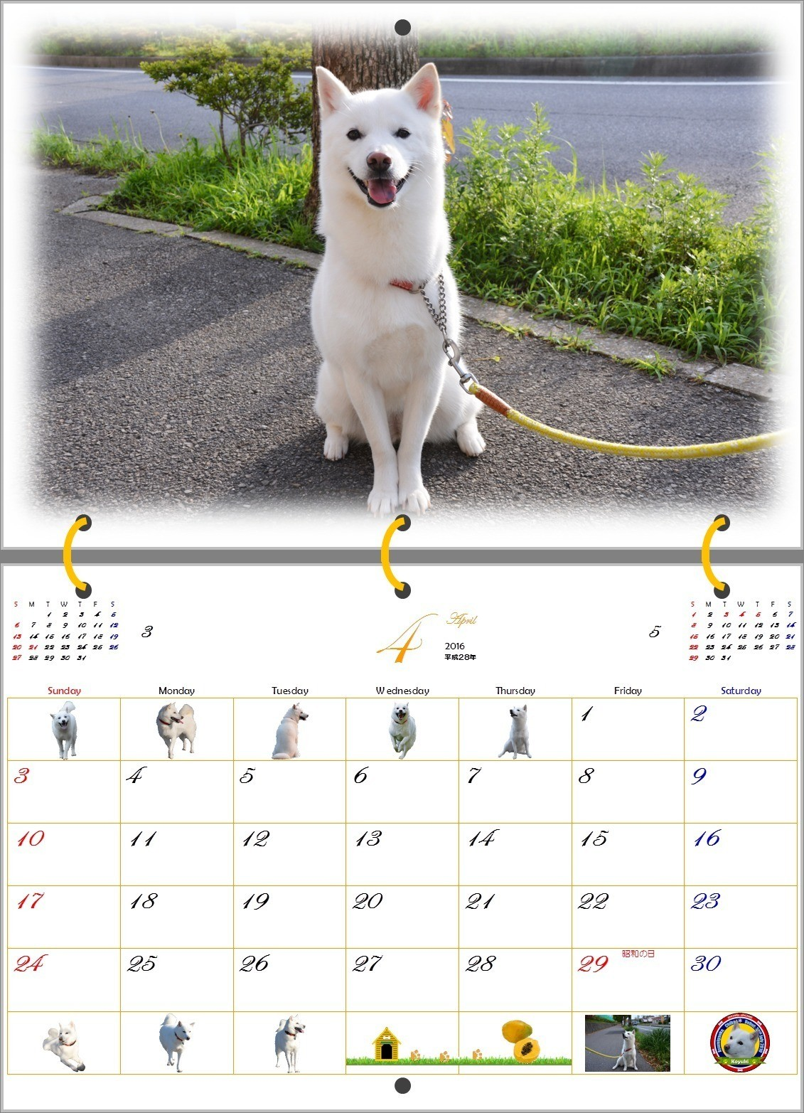 2016年白い犬のカレンダー 4月 T Sbar57 Note