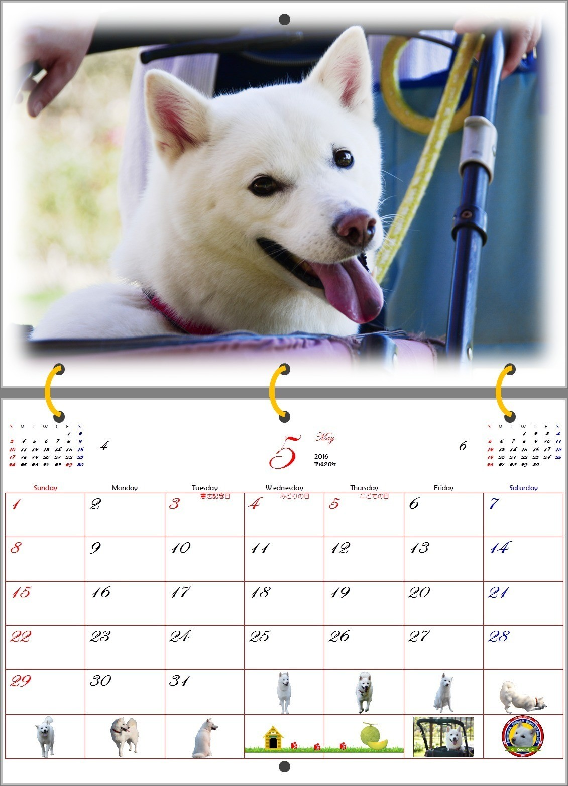 2016年白い犬のカレンダー 5月 T Sbar57 Note