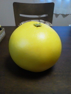 晩白柚の選び方 おいしい食べ方 ラブラブグローバル菊池のブログ