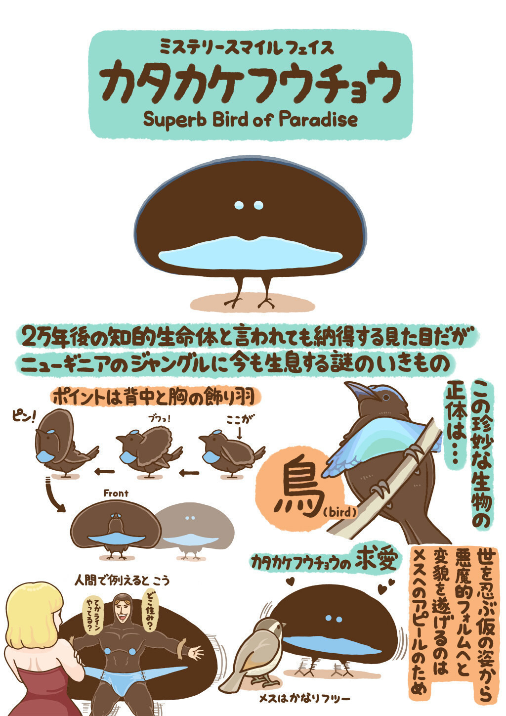  「カタカケフウチョウ」｜高橋のぞむ｜note Bildidee 