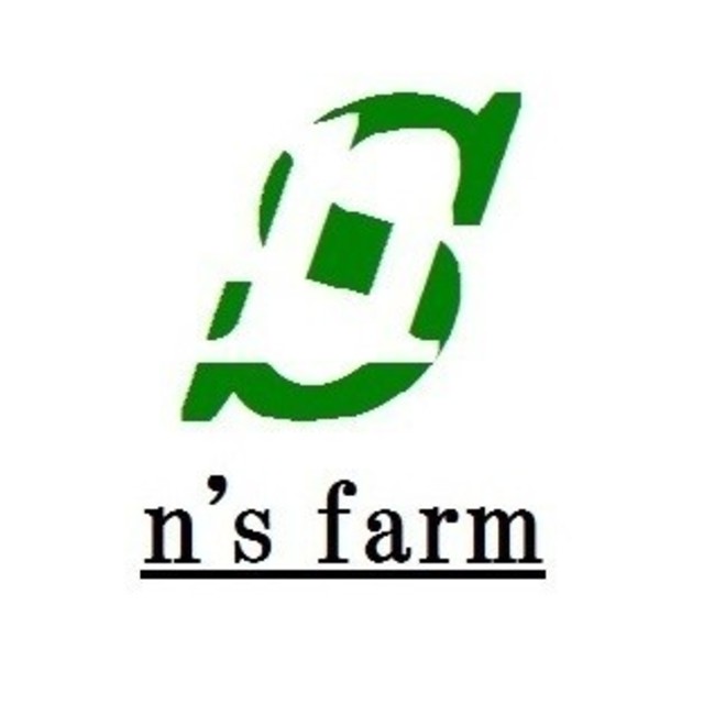 n_s_ロゴ採用