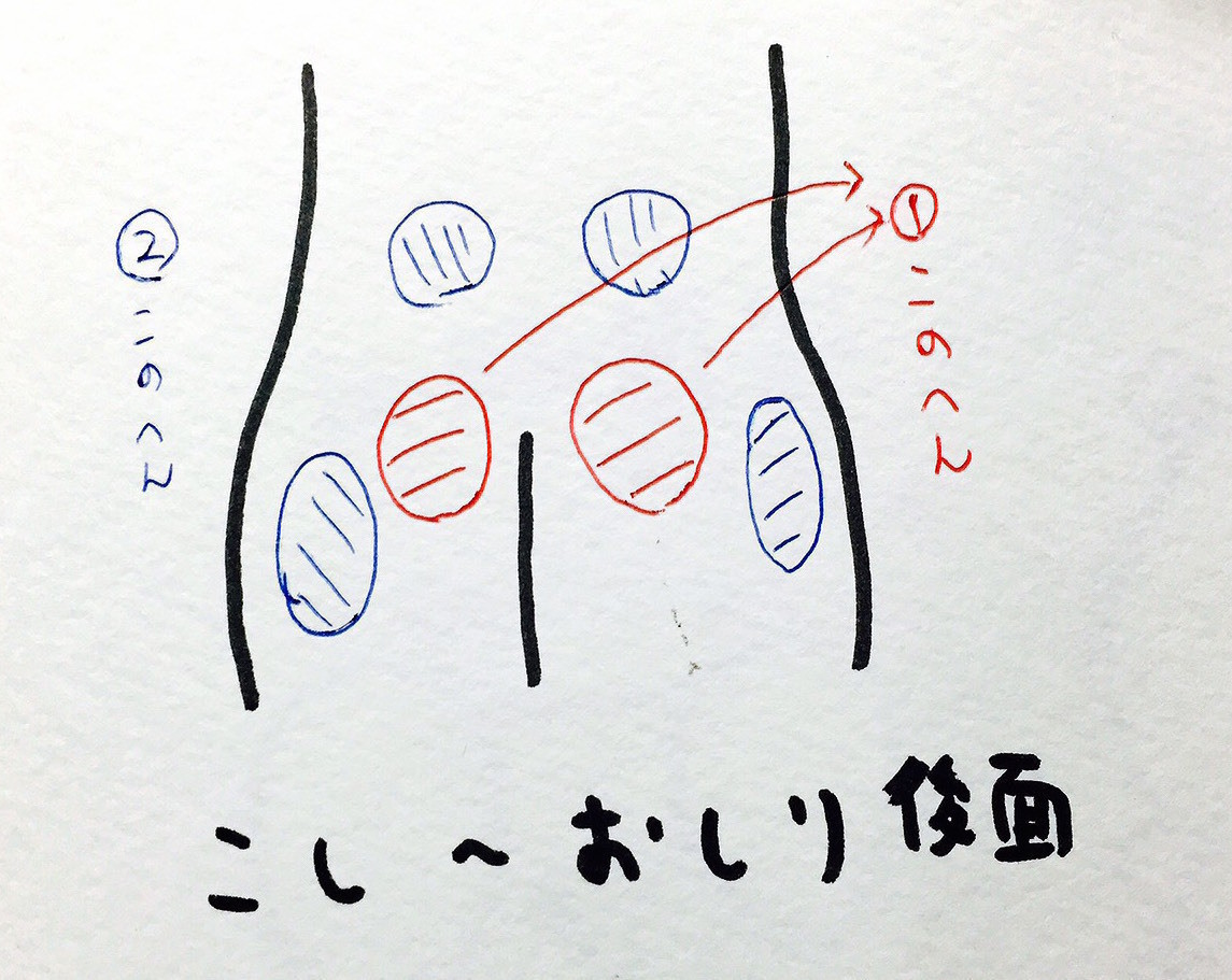 保存版 腰痛の原因と治し方を柔道整復師が教える はなうた横丁