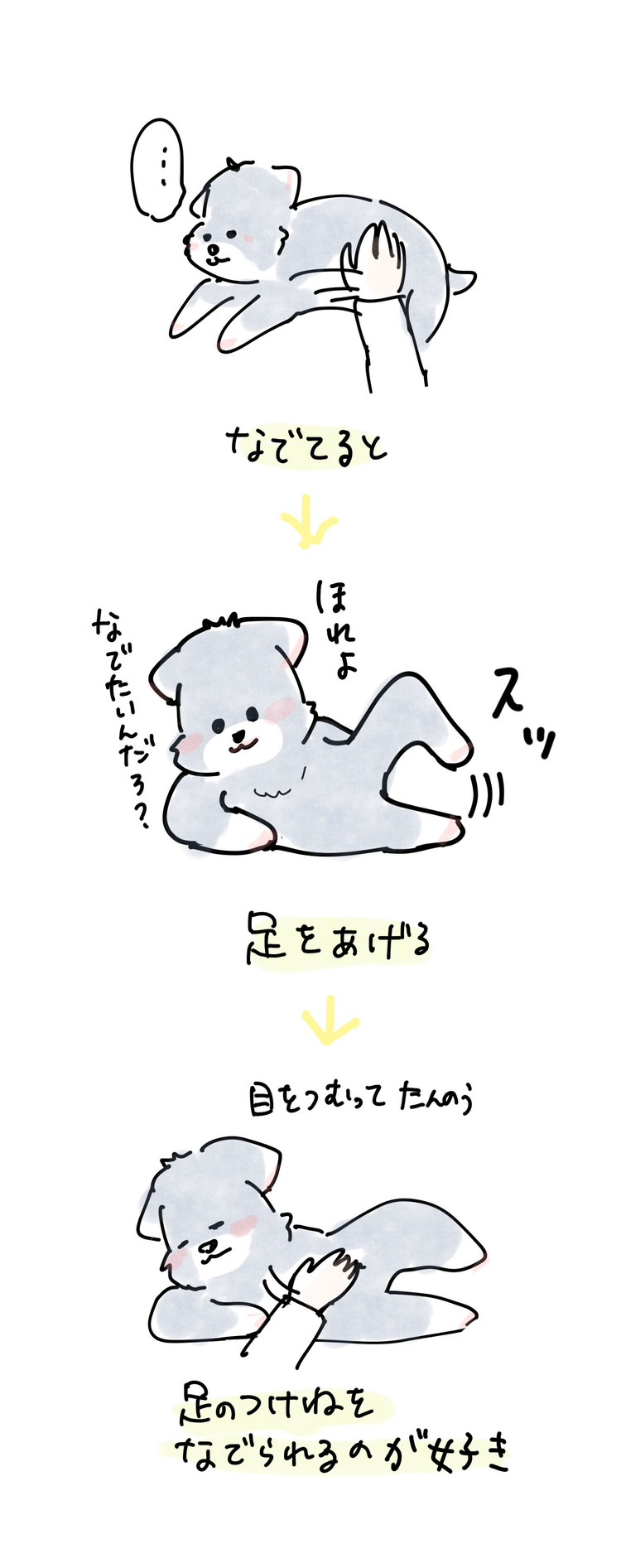 動物 イラスト 水谷緑 Note