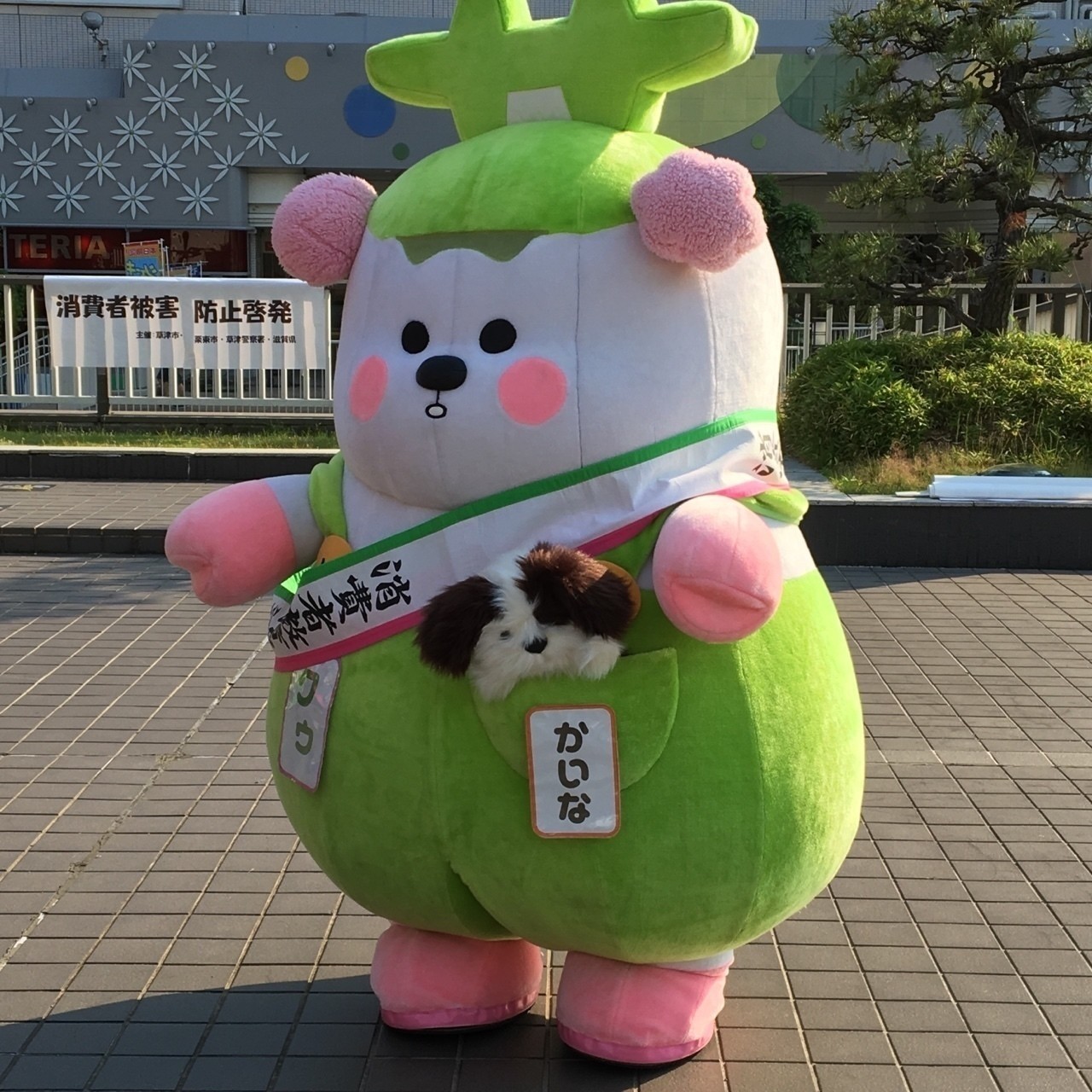 滋賀県ローカルゆるキャラ大集合|suna|note 滋賀県ローカルゆるキャラ大集合|suna|note