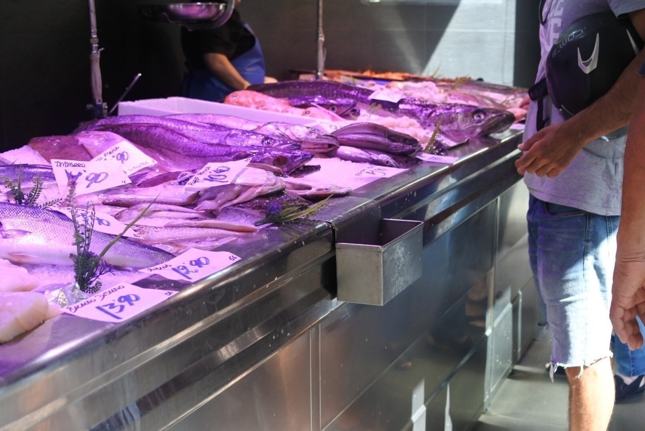 バスク料理とメルルーサ Texastarou