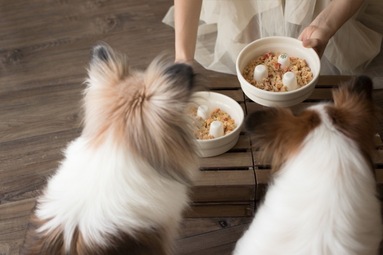 製氷皿で作り置き犬ごはん 卵と野菜の玄米リゾット 手作り犬ごはんレシピ 犬ごはん先生いちかわあやこ Official Web Site
