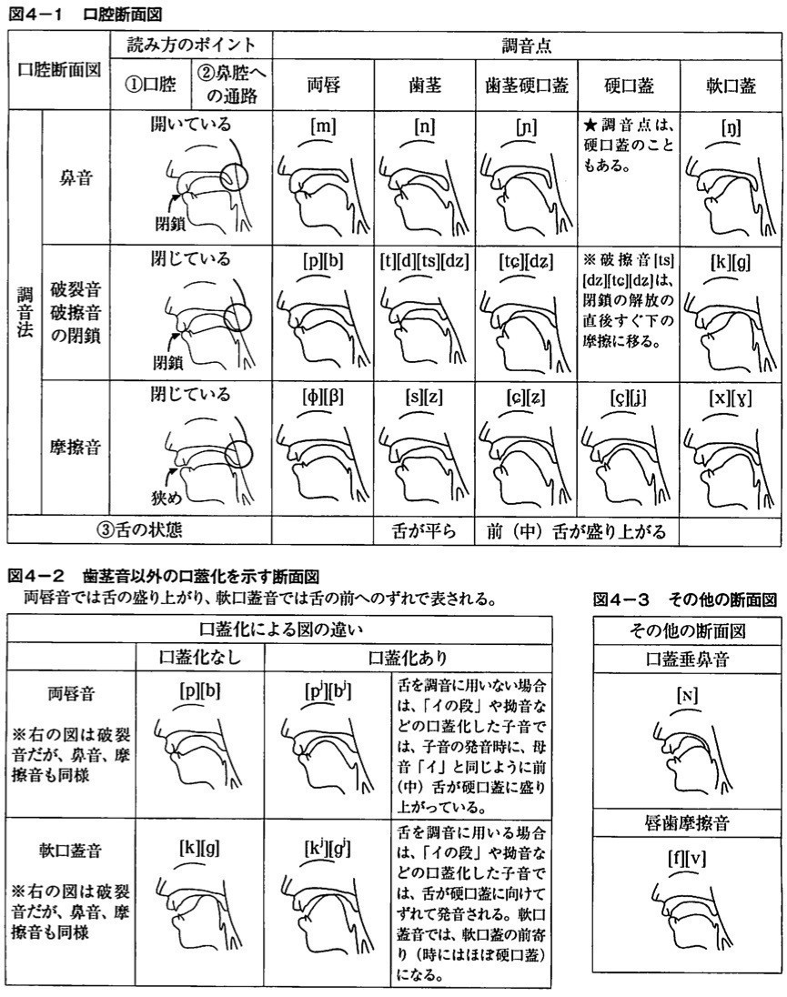 調音 - Articulation (phonetics) - JapaneseClass.jp