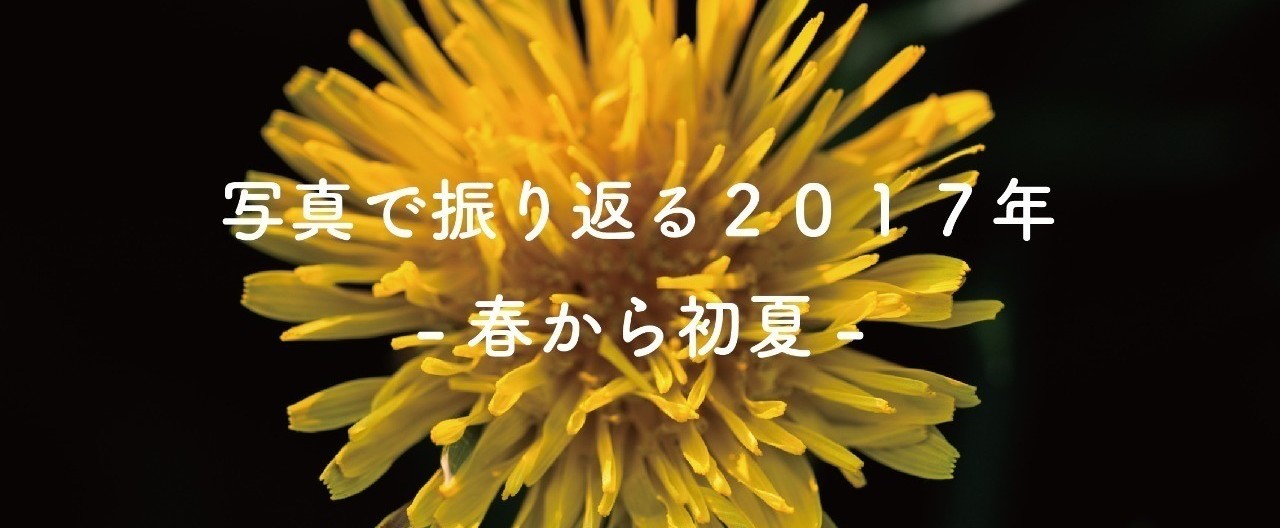 春-01