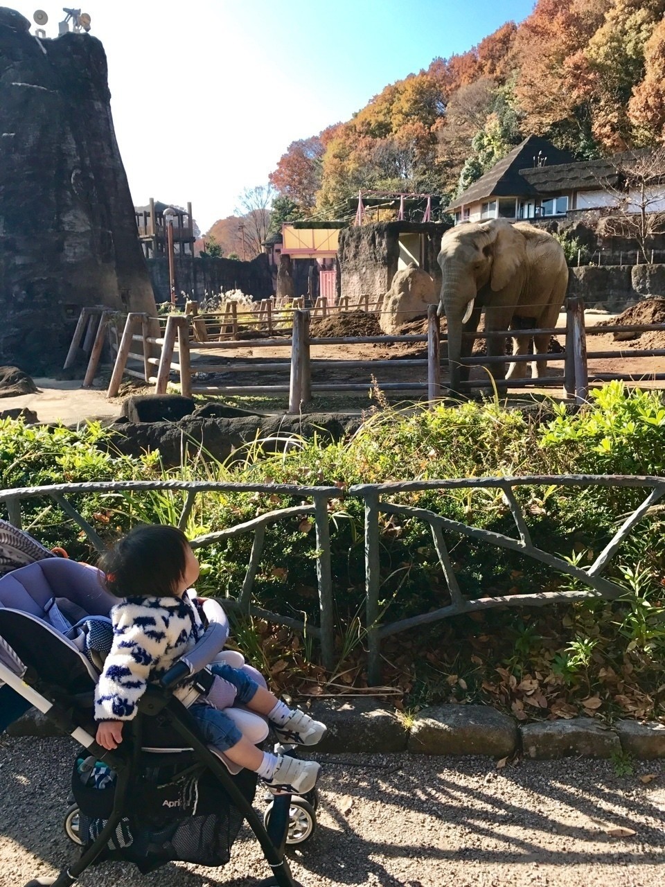 多摩動物公園 かなんこ Note