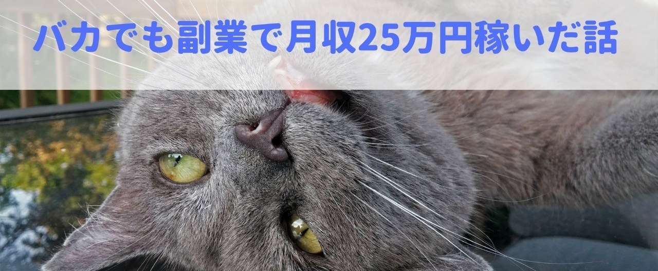 バカでも副業で月収25万円稼いだ話