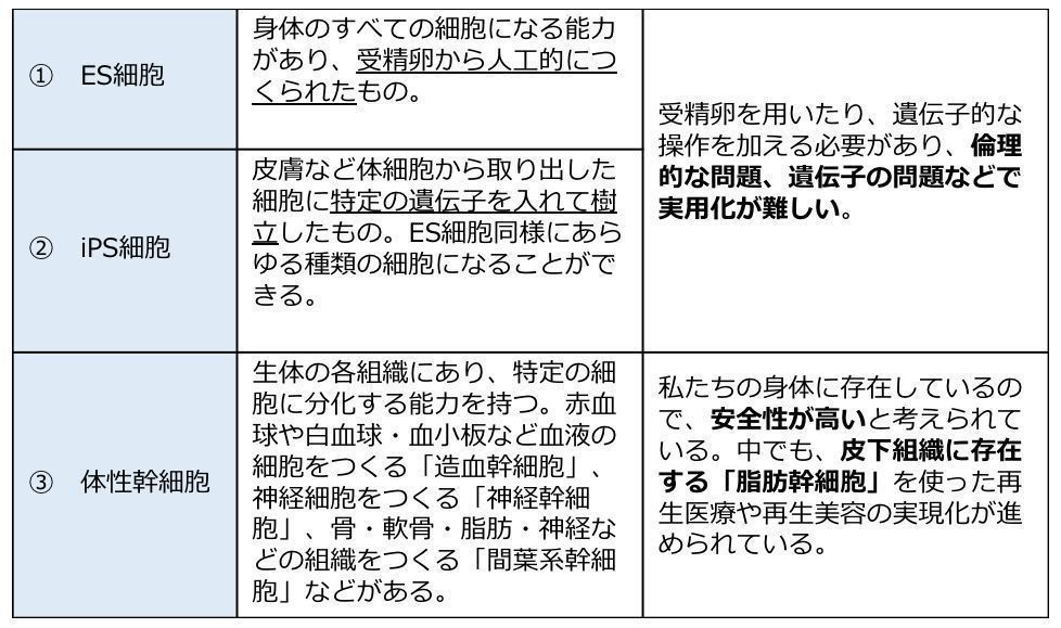 培養液 の条件で変化する成分 盛り上がる幹細胞コスメ最新動向 Beautytech Jp