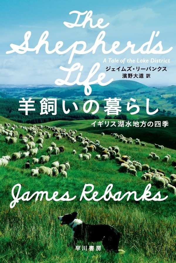 多くの人が こう生きたい と心のどこかで願っている生活 羊飼いの暮らし イギリス湖水地方の四季 文庫解説 河﨑秋子 羊飼い 作家 Hayakawa Books Magazines B