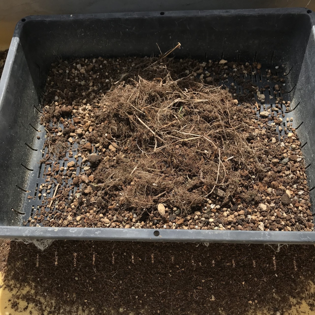 ガーデニングで使った培養土のリサイクル方法 黒大根くん2 0 Note