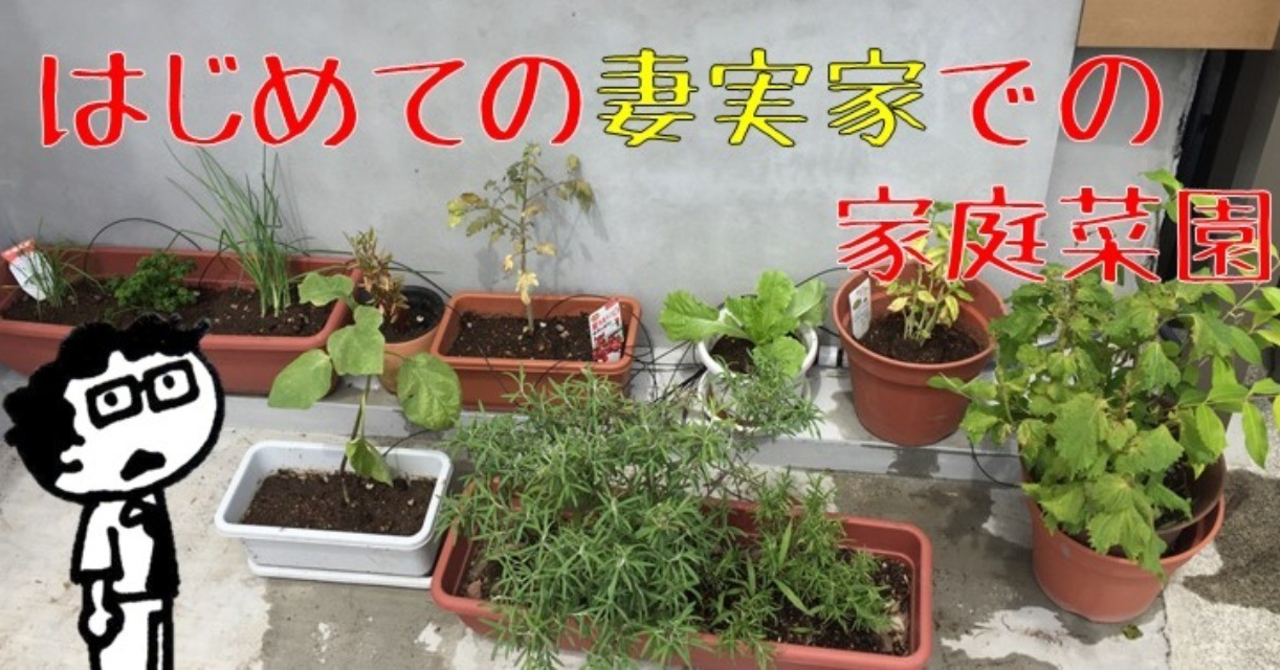 はじめての家庭菜園