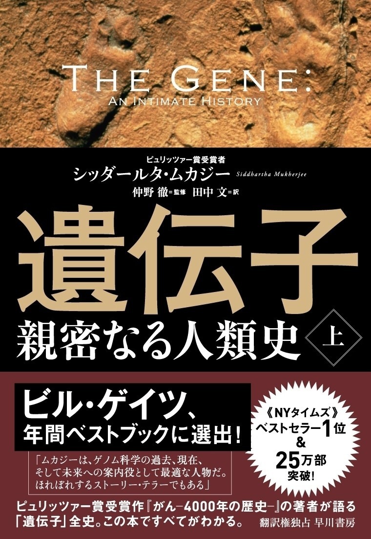 影響 与え を 歴史 の 上 た 人物 最も 人類