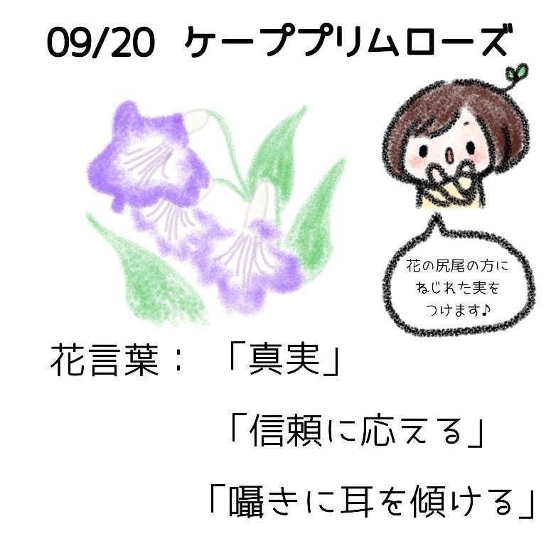 すべての花の画像 エレガントプリムローズ 花言葉