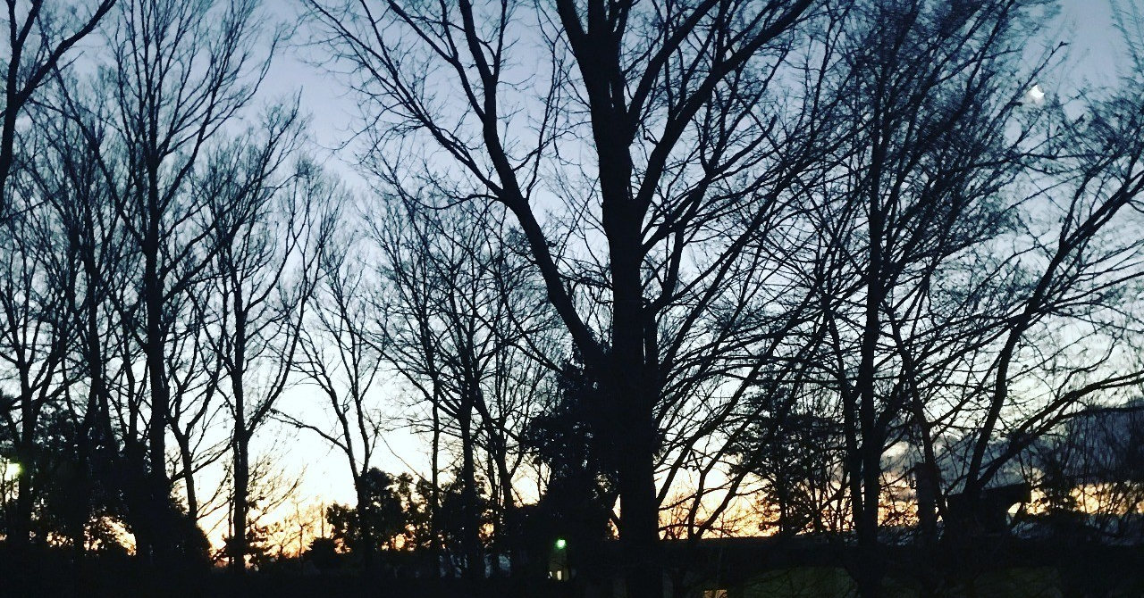 写真_2018-02-12_6_03_45