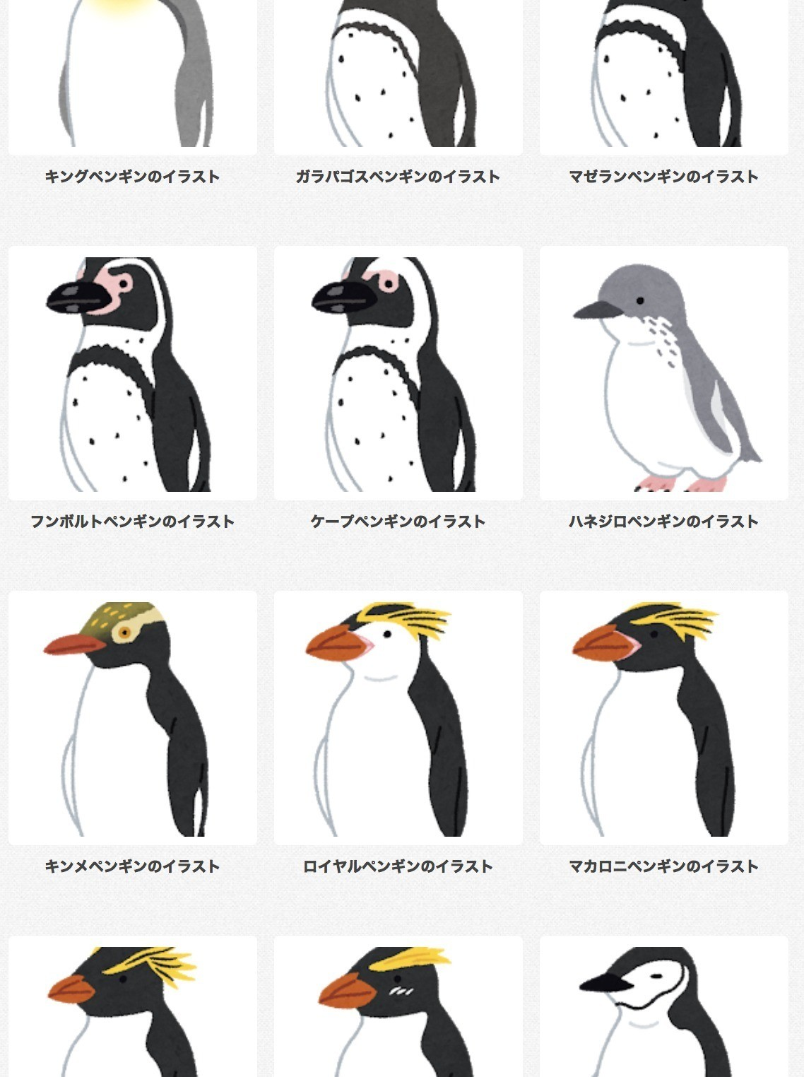 動物画像のすべて ぜいたく無料 ペンギン 顔 イラスト