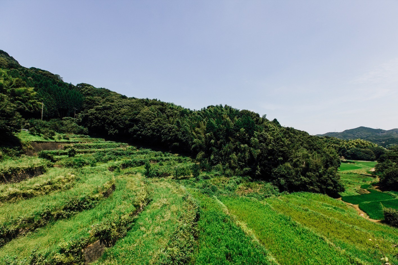 普通の人と フォトグラファーが見ている景色 視点 の違い たいしょー 写真家 Note