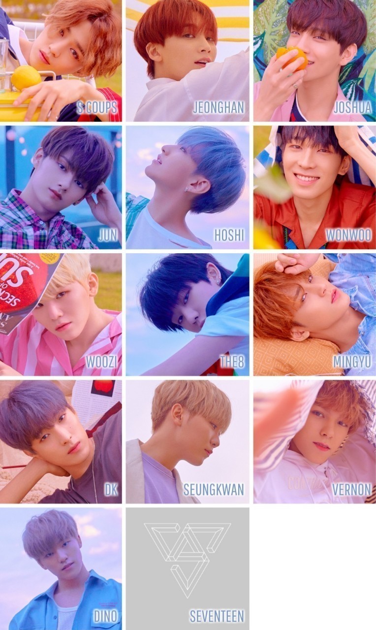 トップ Seventeen メンバー ざたなもめ