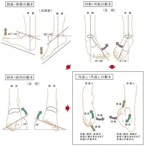 CARIFAS style 足部・足関節の手術エキスパートブックの+