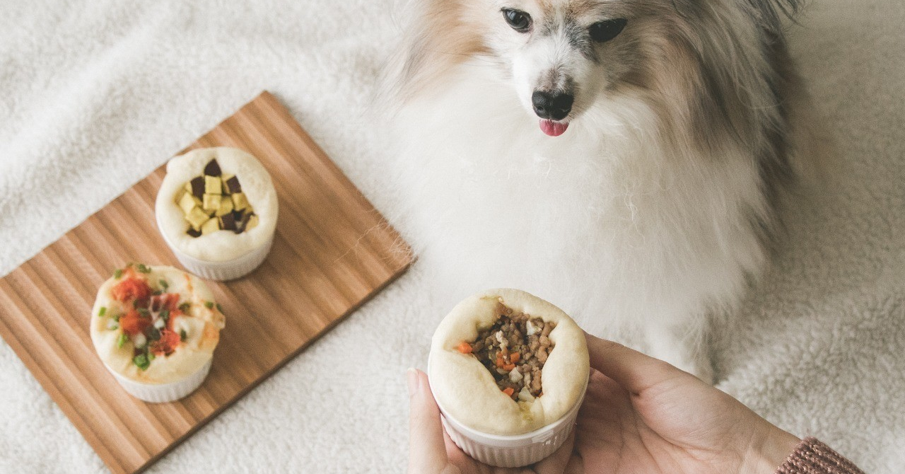 ココットで作るレンチン中華まん 肉まん ピザまん さつまいもまん 手作り犬おやつレシピ 犬ごはん先生いちかわあやこ Official Web Site ココットで作るレンチン中華まん 肉まん ピザまん さつまいもまん 手作り犬おやつレシピ 犬ごはん先生いちかわあやこ Official Web Site